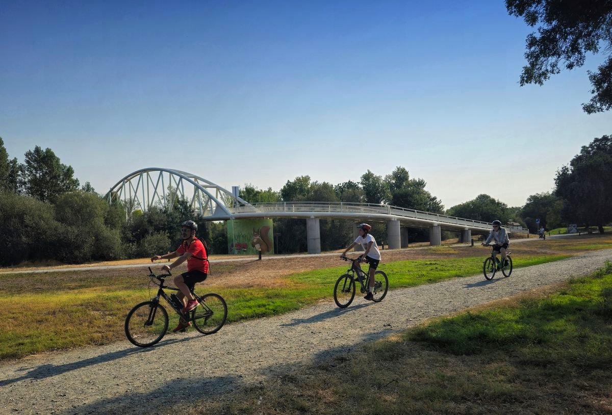 La revolución del bienestar 