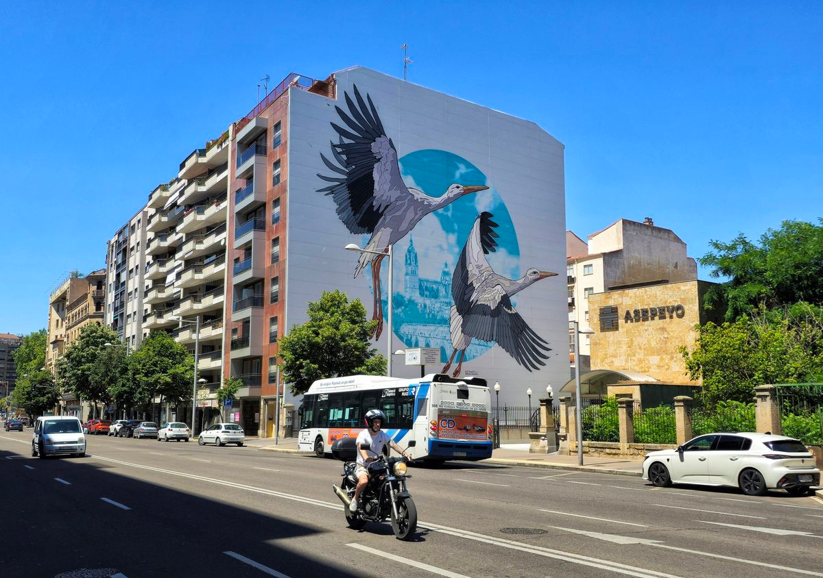 Mucho más que talento 