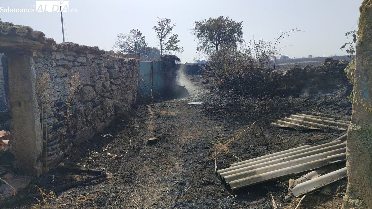 Este el plan de 45 medidas de la Junta de Castilla y León para recuperar las zonas afectadas por los incendios