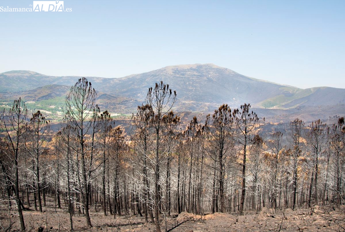 Llanto por la Madre Tierra 