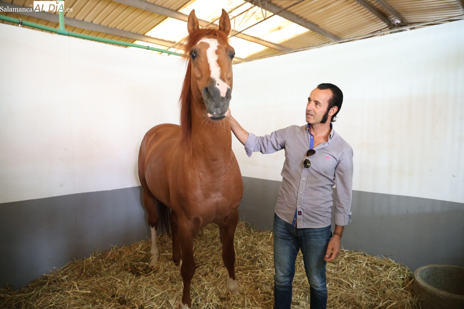 VÍDEO | Talavante, el caballo con sangre de duques y nombre de torero que reina en Salamaq