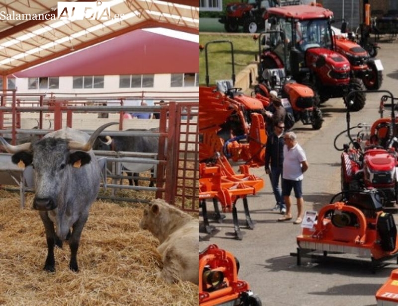 Salamaq 2025: la gran feria del campo abre hoy sus puertas en Salamanca