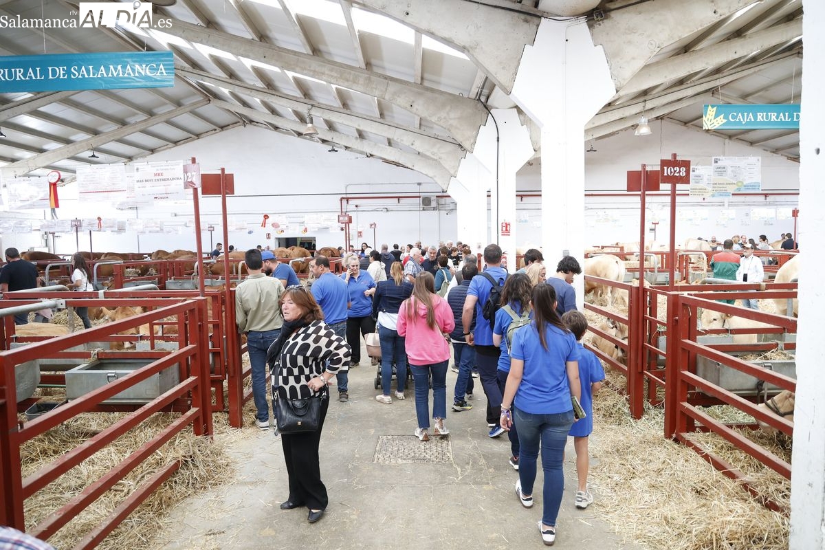 Salamaq 2025: entradas, horarios, autobuses y programa completo de actividades