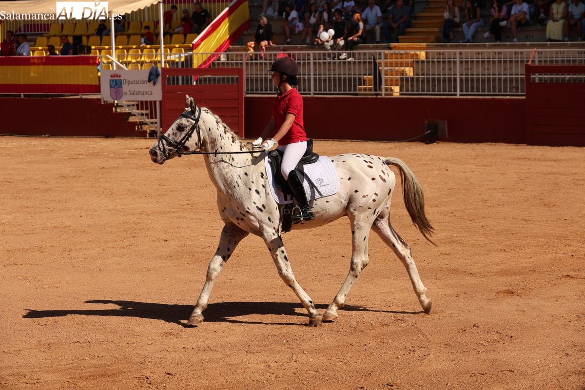 El Pequeño Tío salmantino: un caballo de lunares idéntico al de Pipi Calzaslargas causa sensación en Salamaq