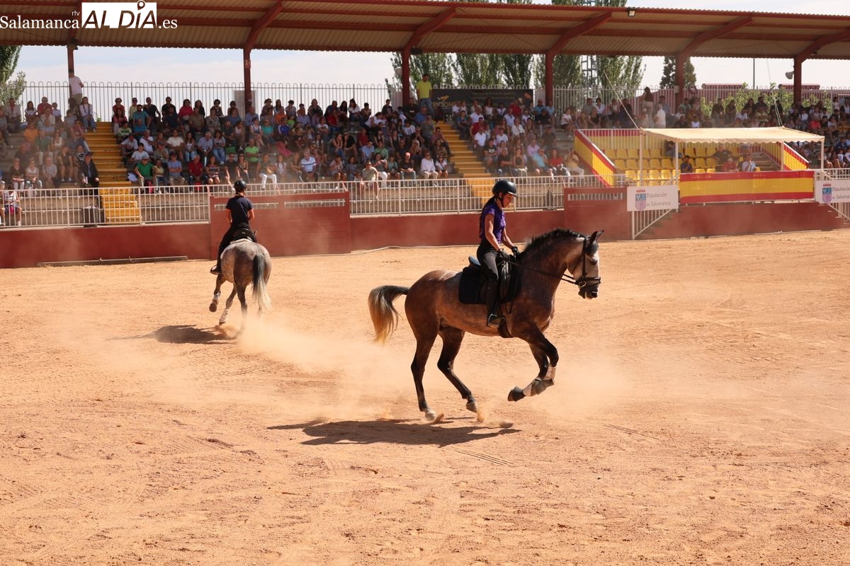 FOTOS | Gran exhibición del Caballo de Deporte Español, el Pura Raza Español y el Raza Árabe 