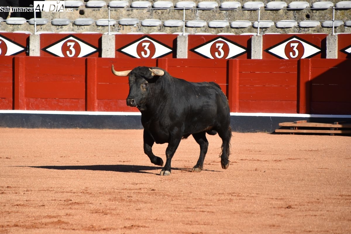 Al hilo de las tablas: El Desenjaule