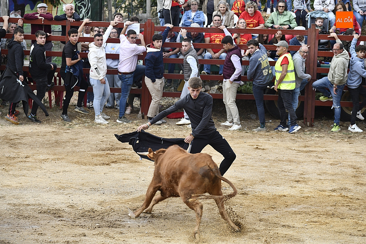 Divertida tarde de vaquillas en Pedrotoro en la cual la lluvia hizo presencia sin desanimar el ambiente