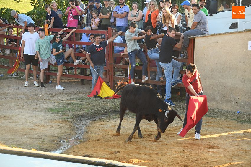 Paco Cañamero y Sergio Lucas protagonizarán la velada inaugural de las fiestas de Pedrotoro