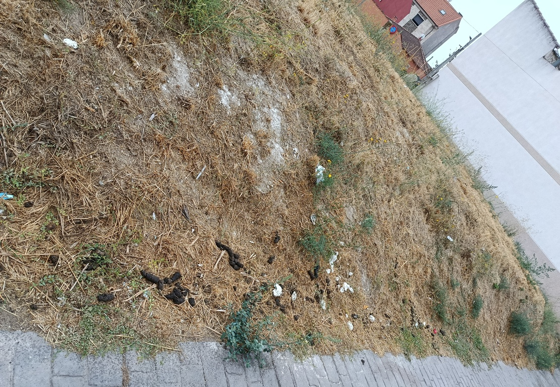 Vecinos de la calle Goya denuncian la suciedad acumulada en un descampado de la vía