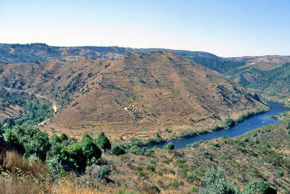 Una propuesta de comarcalización 