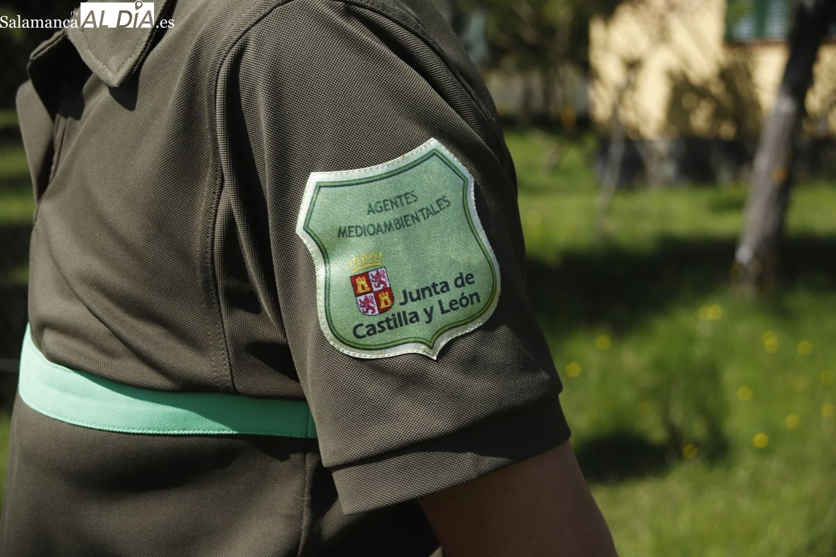 Revolución en el operativo de incendios: se crea la figura del bombero forestal y un cuerpo de agentes medioambientales de Grupo B