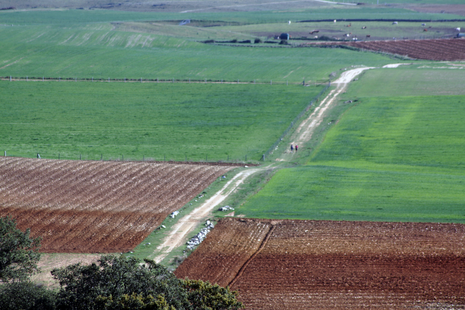 Los caminos de en España - 1