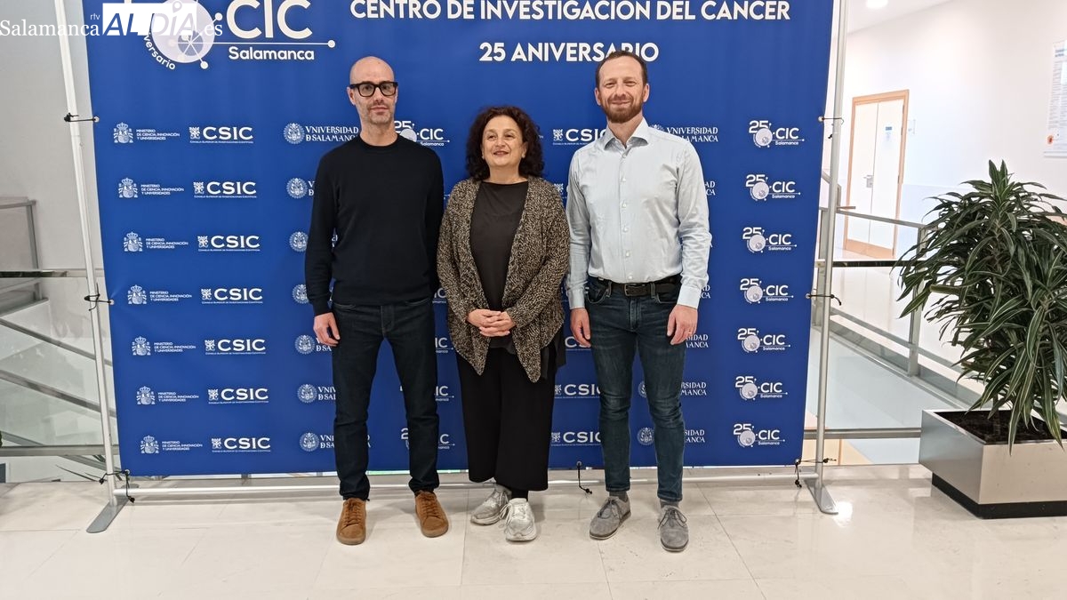 Investigadores europeos avanzan en tratamientos personalizados para el cáncer de mama resistente