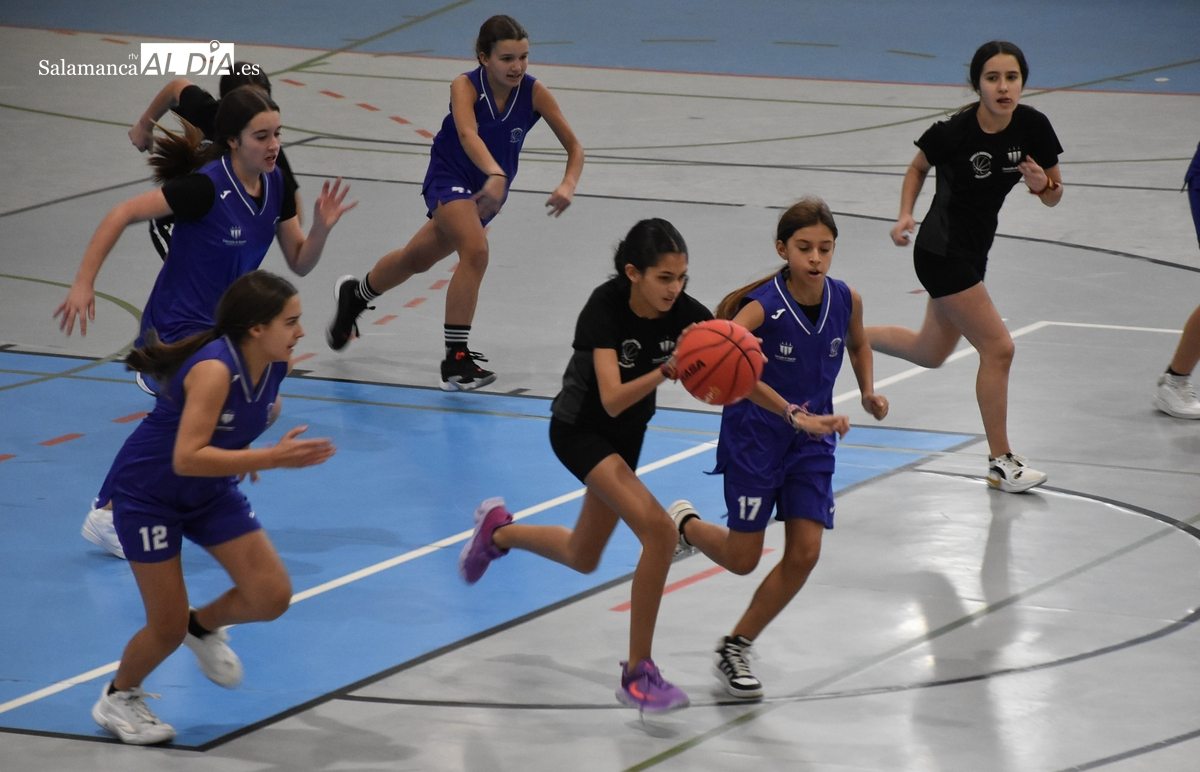 Se buscan 2 chicas nacidas en 2012 para completar uno de los equipos de la Escuela de Basket