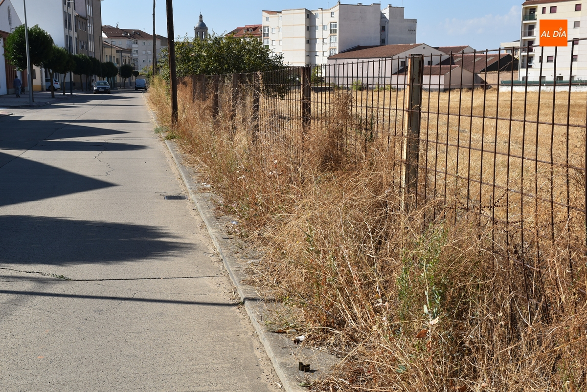 La maleza inutiliza un amplio tramo de acera del Camino del Cementerio