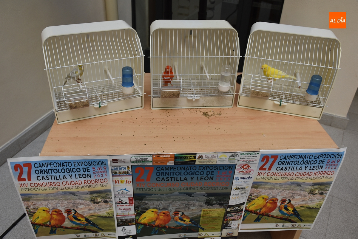 La Casa Consistorial vuelve a contar con pájaros para promocionar el Concurso Ornitológico