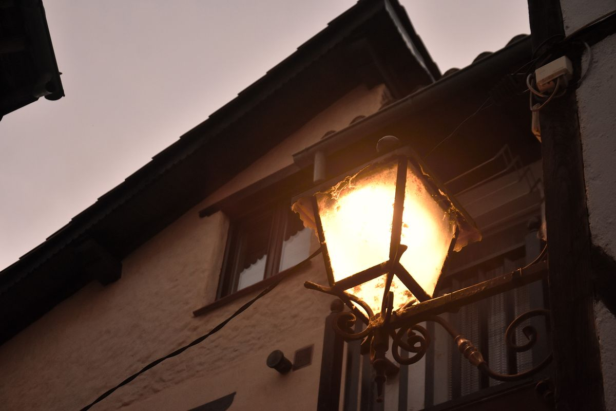 El tiempo de la semilla