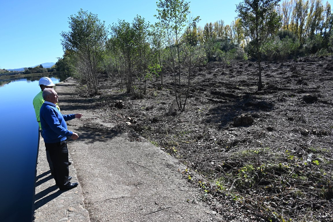 La CHD desbroza la represa de La Moretona tras solicitarlo el Ayuntamiento