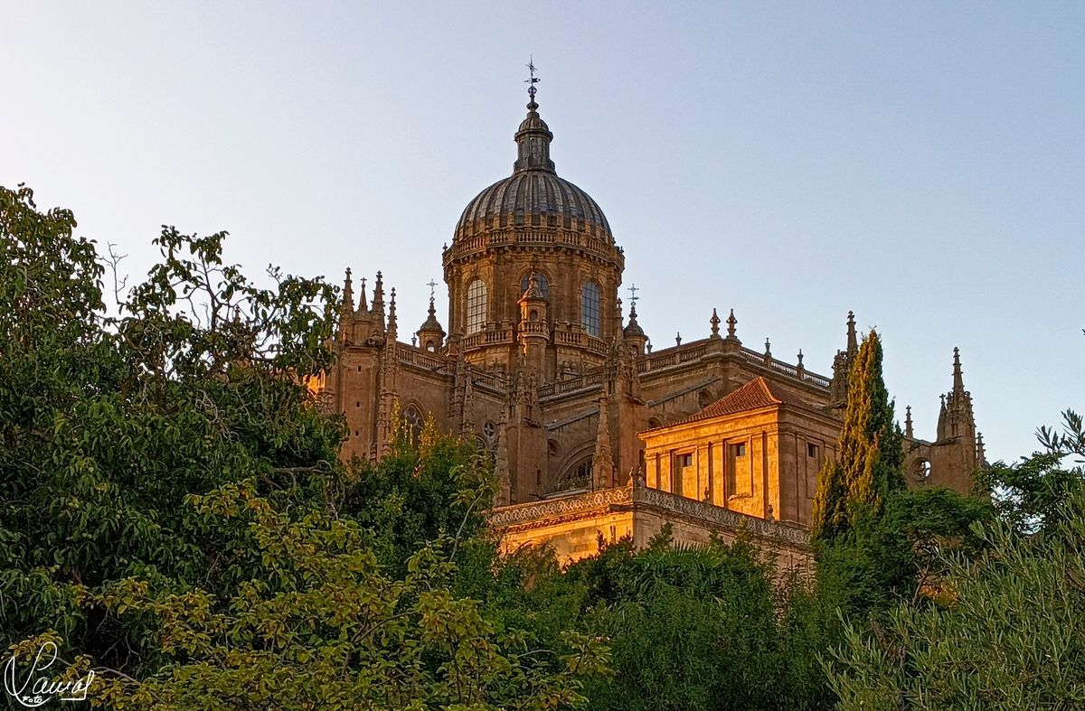 La obra de un gran poeta 