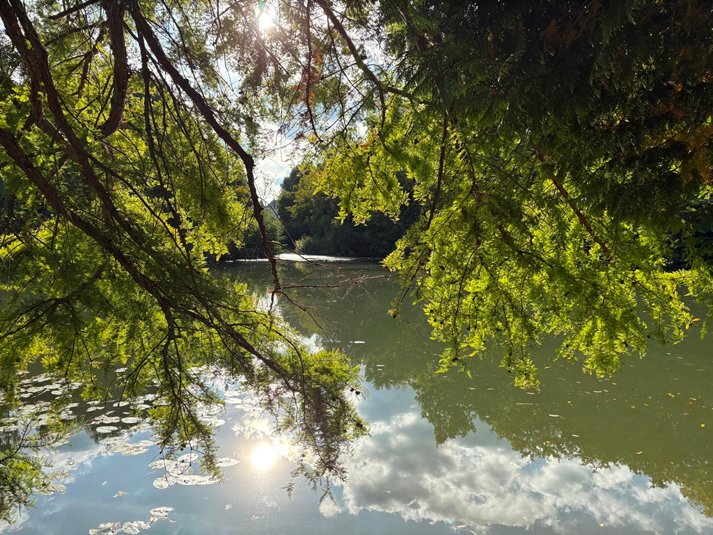 ¿Que tendrá la princesa?