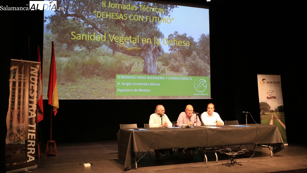 El futuro de la dehesa salmantina a debate en tres jornadas técnicas durante el mes de noviembre