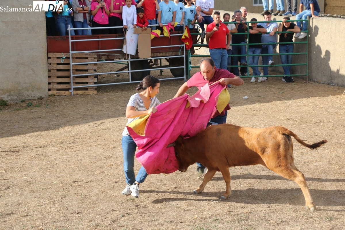 La emoción de la capea pone el broche de oro a las Fiestas de las Madrinas en Valderrodrigo