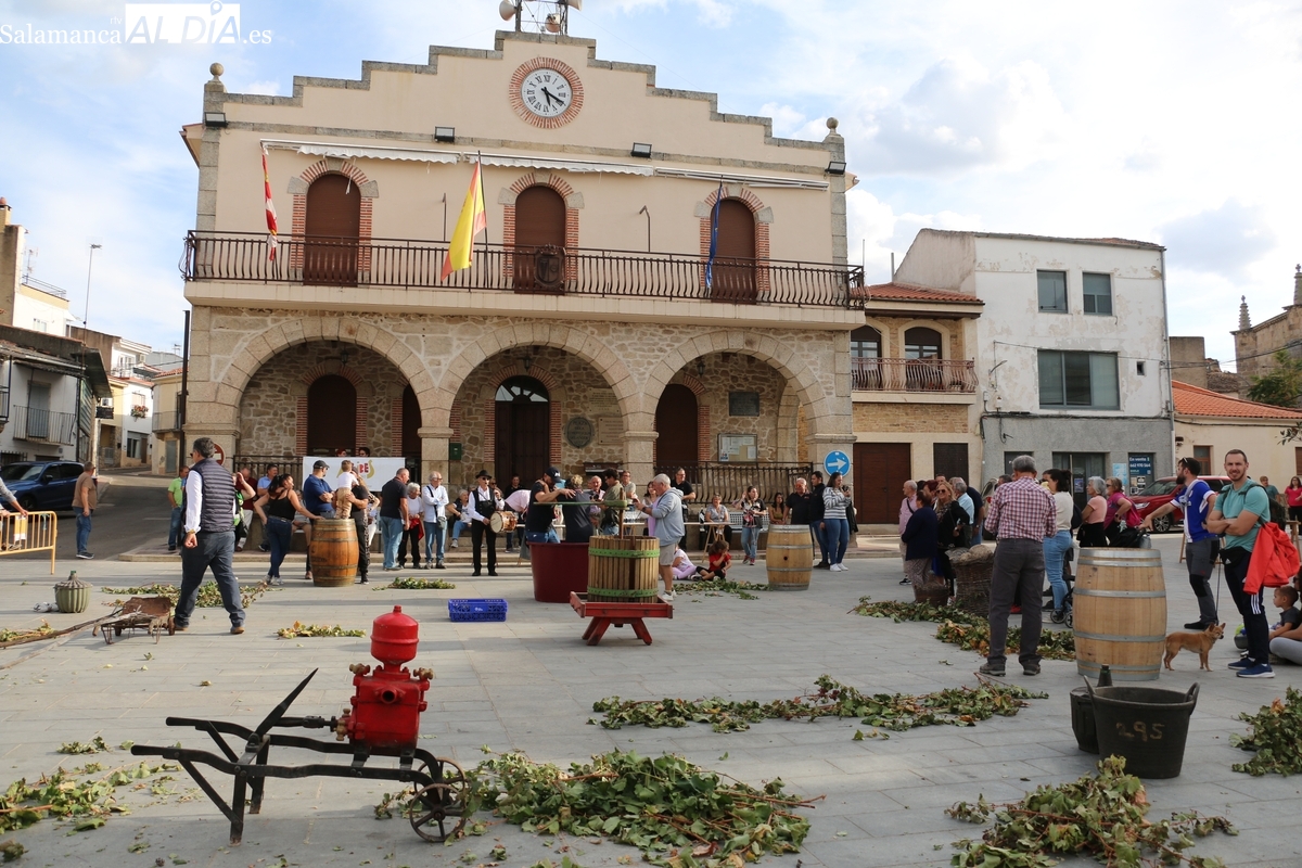 Villarino celebra la III Fiesta de la Vendimia con una cosecha de excelente calidad