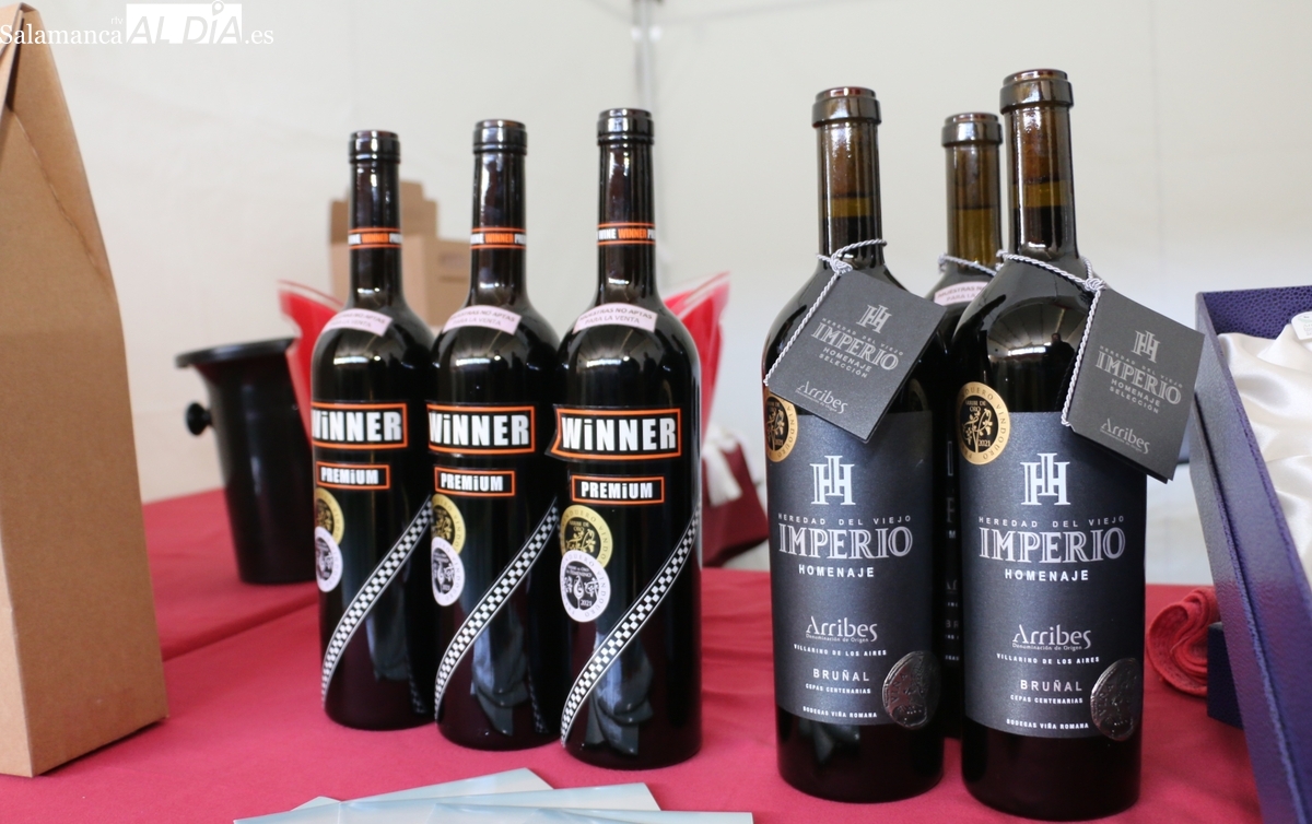 La D.O. Arribes presenta sus vinos y bodegas en Salamanca el próximo lunes