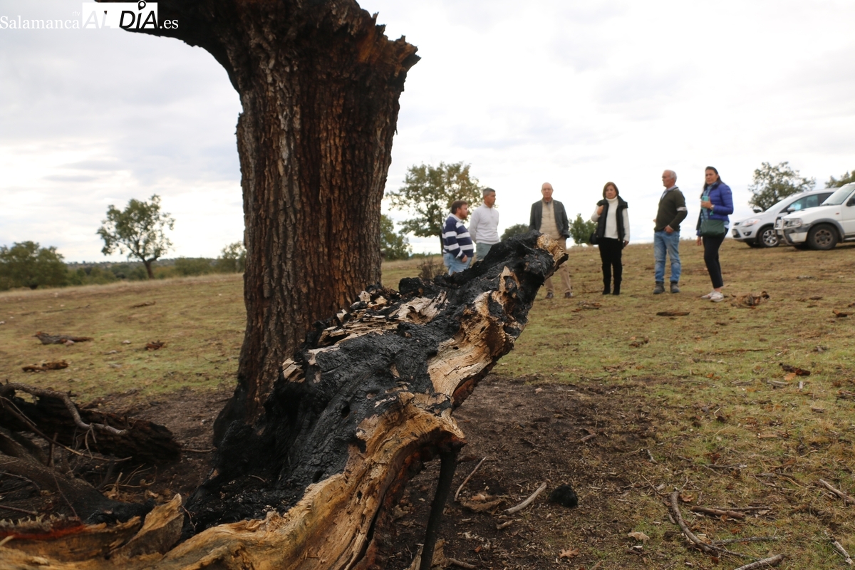 Los ganaderos critican la falta de medios durante el gran incendio de Cipérez