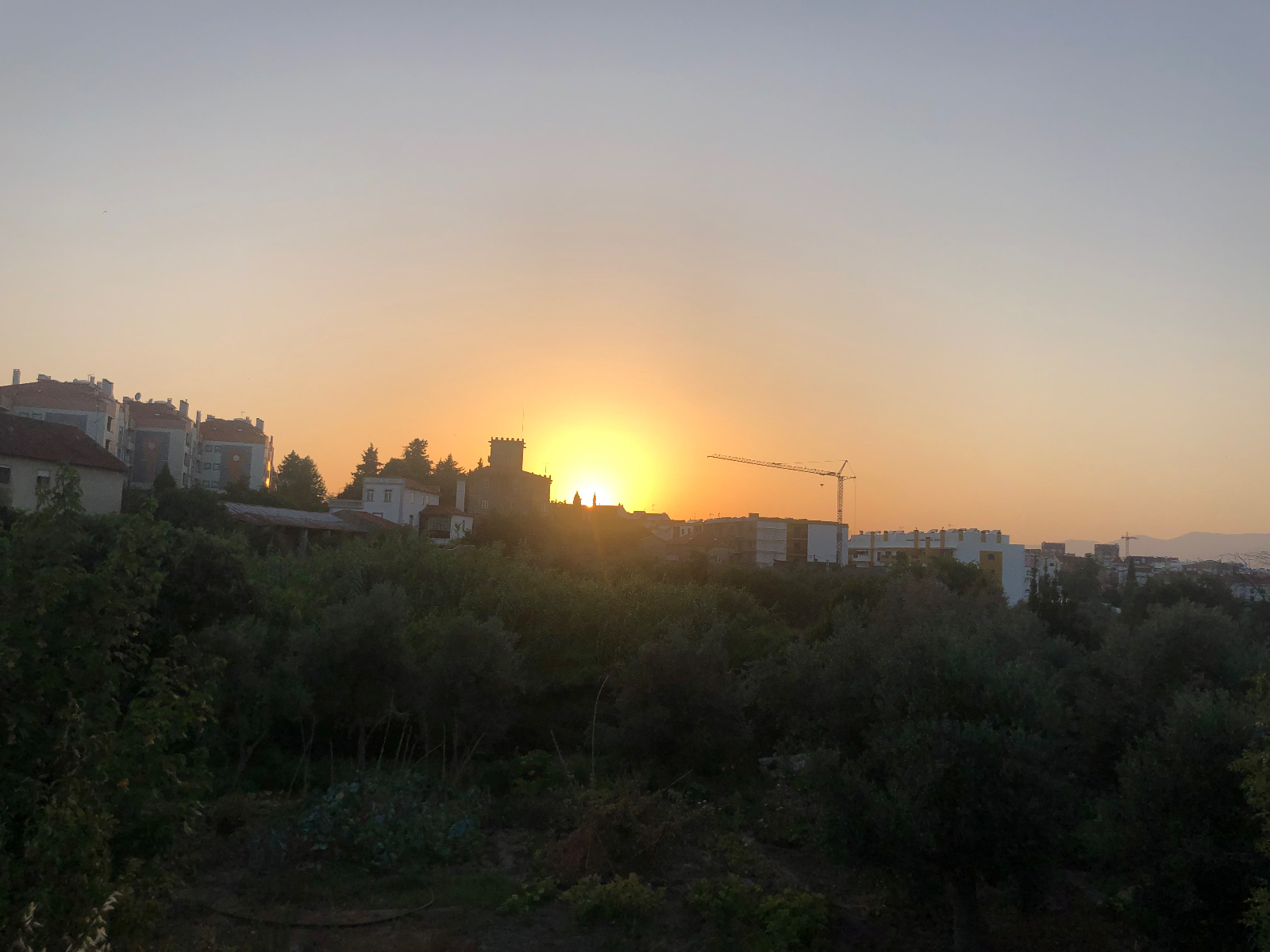 Celebra as pequenas vitórias 