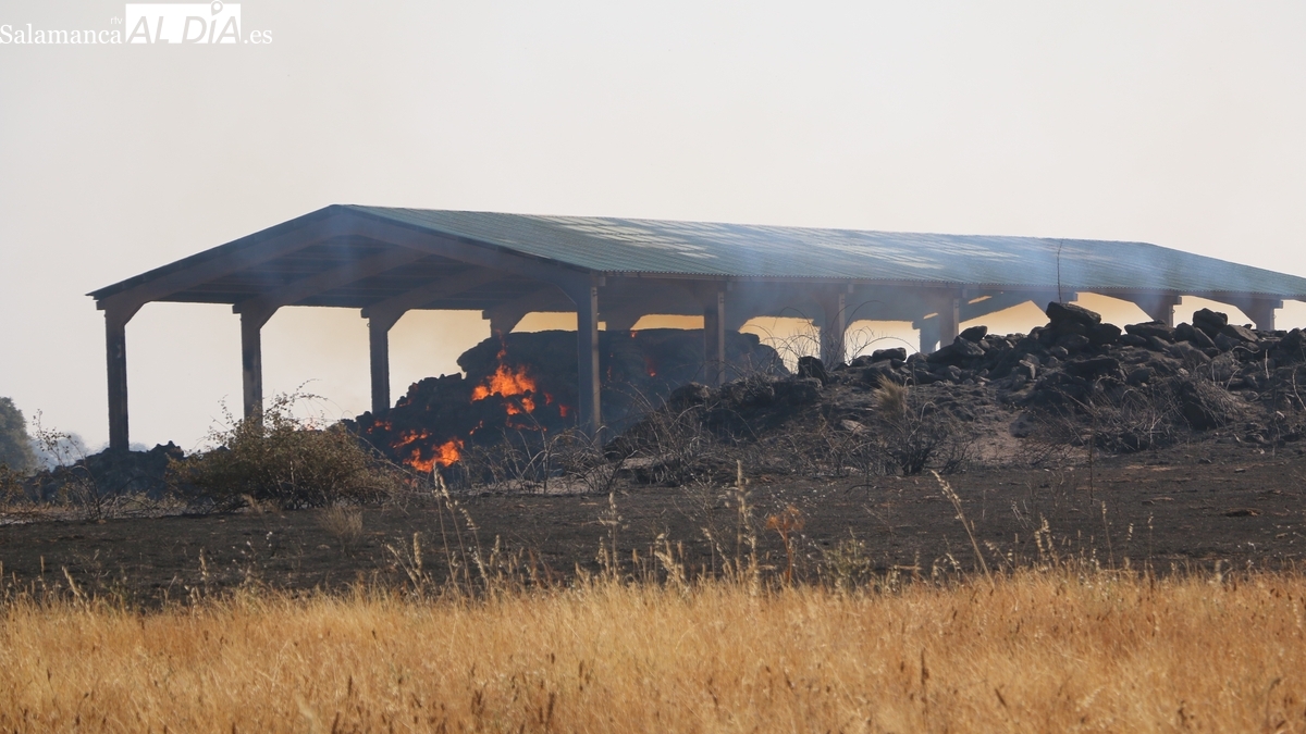 La Mancomunidad de Vitigudino suministrará paja a los ganaderos de los municipios mancomunados afectados por el gran incendio de agosto