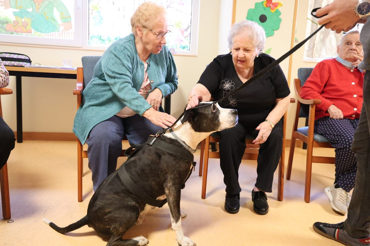Lazarillo de Tormes, 25 años siendo un hogar para los mayores de Salamanca