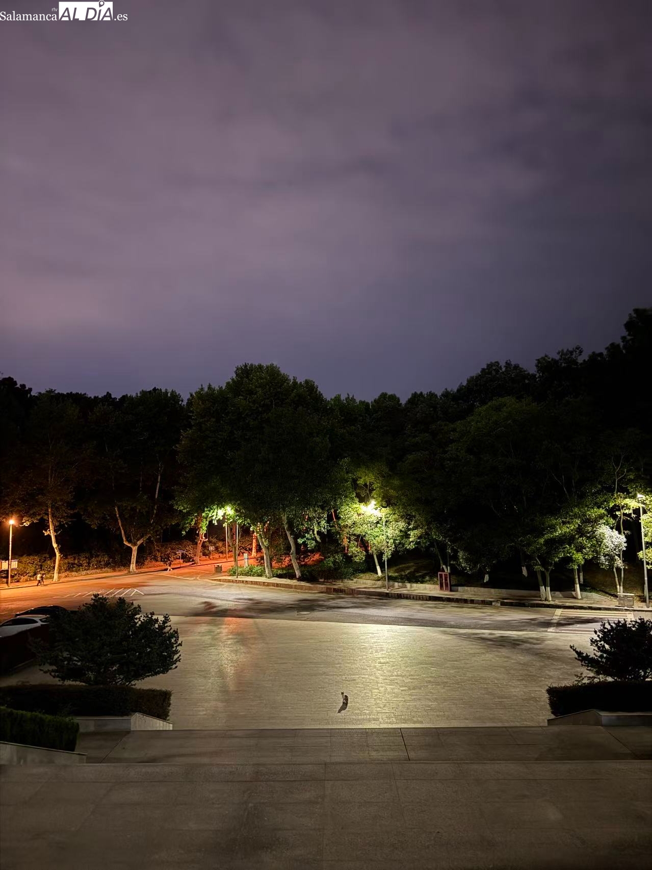 Mística nocturna no buscada en Nanjing