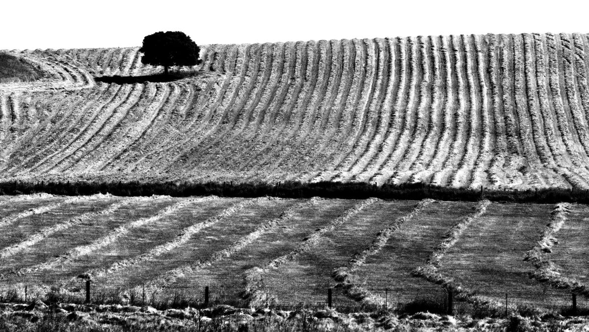 Pedestal, no sepulcro 