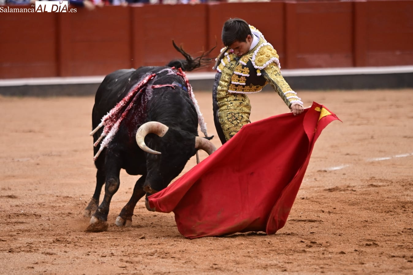 Doble cita taurina en Vitigudino: premio para Ismael Martín y nuevo libro de Paco Cañamero