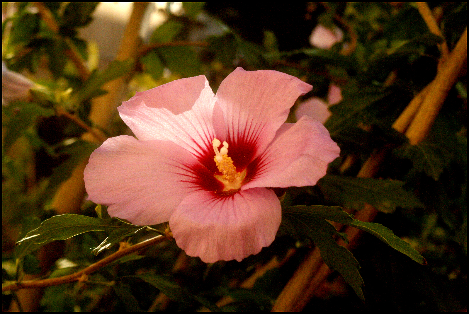 Por el mar del Norte (Poesía para Peques)