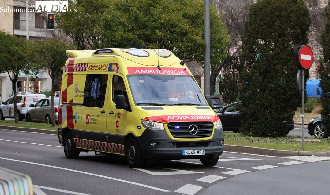 Atropellado un varón de 80 años en la carretera Ledesma