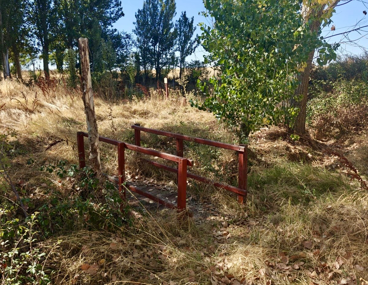 El Partido Popular califica de lugar intransitable el parque de El Inestal y denuncia su abandono