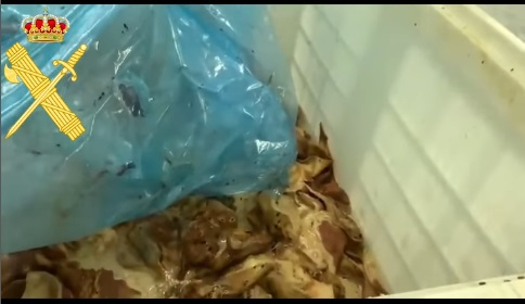 VÍDEO | Hallan 9.000 kilos de carne en estado de putrefacción en una nave de Montejo