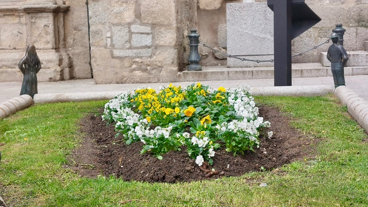 El Ayuntamiento realiza la plantación de 2.000 plantas de invierno