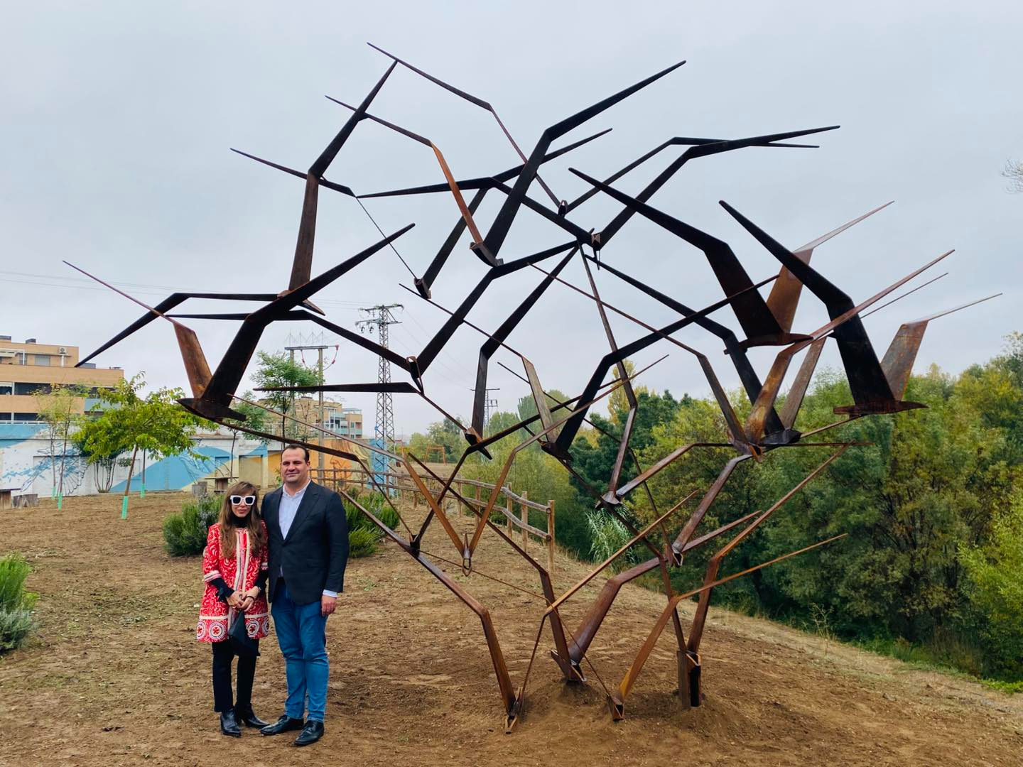 Una bandada de 21 aves de hierro aterriza Santa Marta