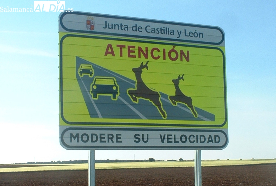 El PSOE reclama a la Junta actuar en las cinco carreteras con más siniestros por animales de Salamanca