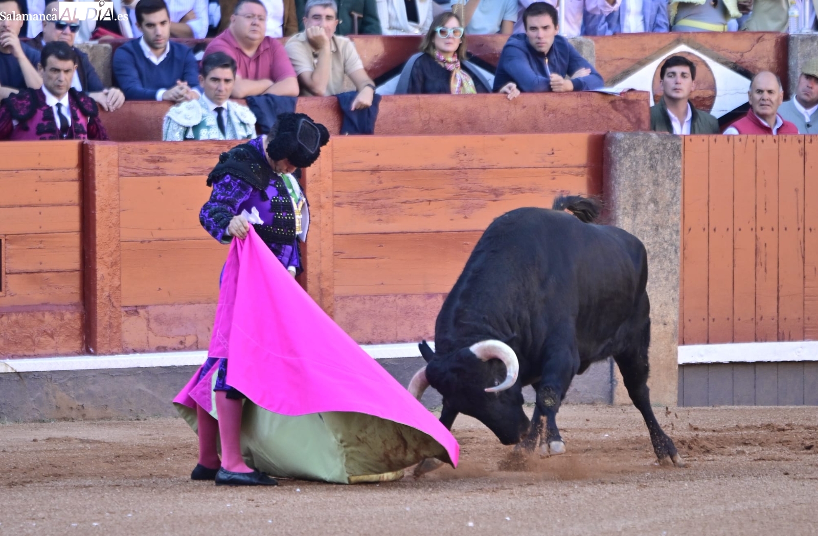 Morante, Ismael Martín, Garcigrande y Vellosino, entre los premiados por la Peña Albero Charro
