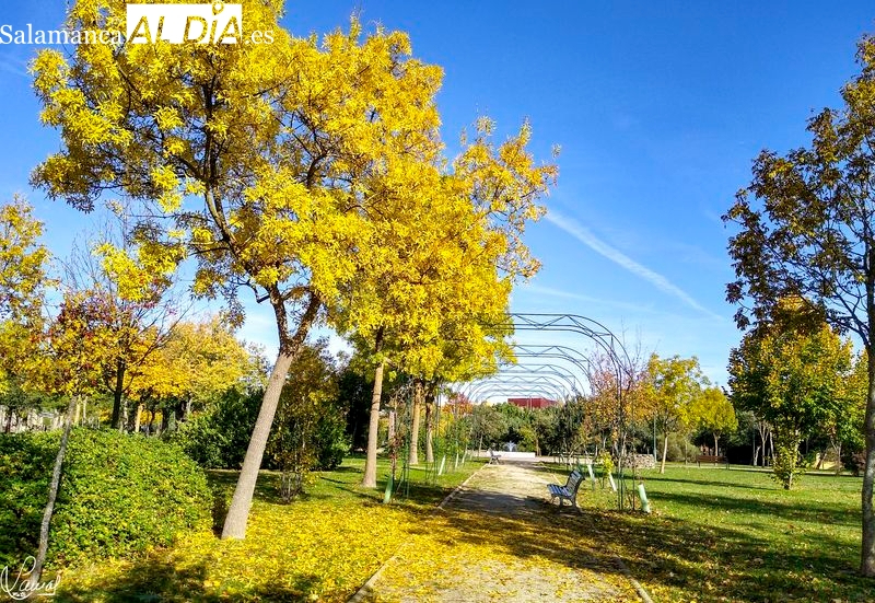 El Parque de Huerta Otea amplía sus visitas a entidades sociales y colegios del alfoz