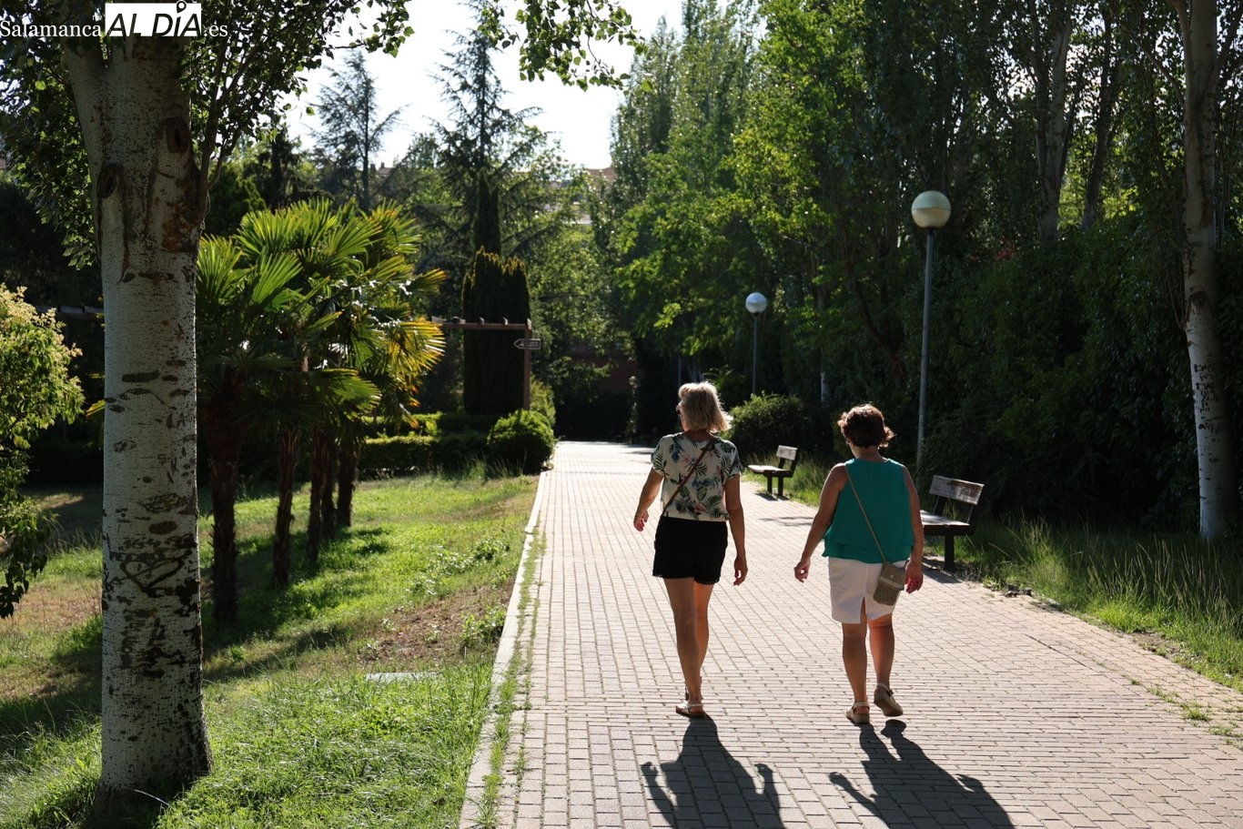 ¿Por qué Salamanca es ahora una ciudad más silenciosa? Las claves del plan contra el ruido