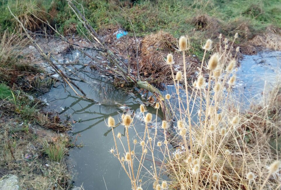 El rincón de mi ciudad: Nuestro Río