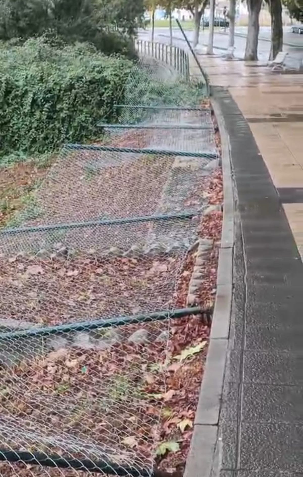 VÍDEO | Vandalismo: destrozan el vallado que estrenó el Ayuntamiento en la Aldehuela junto al Ocean Beach Club