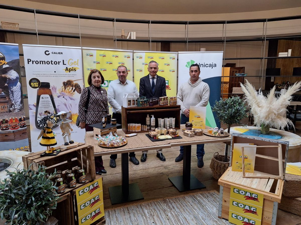 El sector apícola se asfixia: caída del 70 % en la producción y desplome del precio de la miel