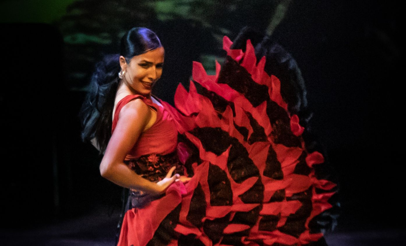 Invitaciones gratuitas para el espectáculo de danza Carmen vs Carmen el 25N 