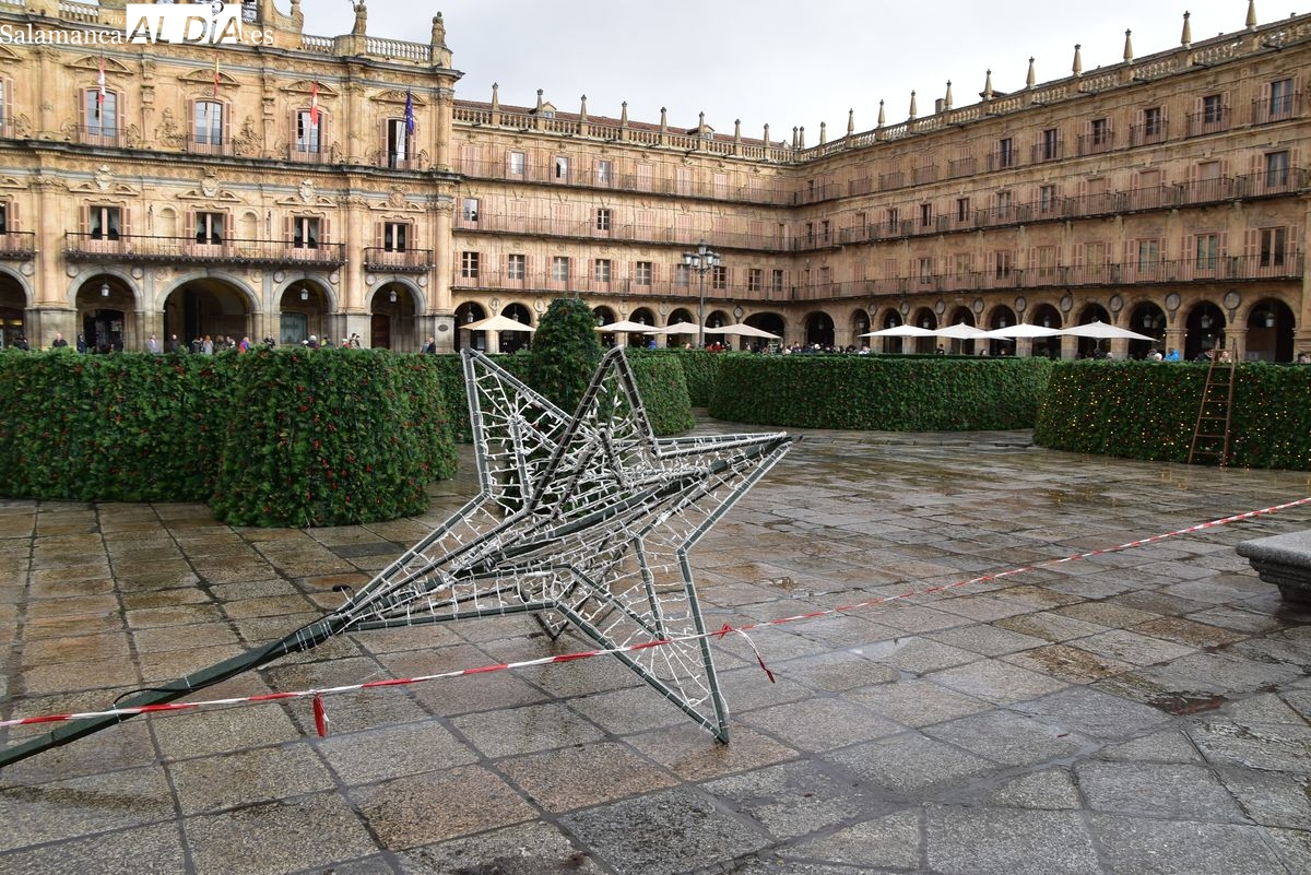FOTOS | El gran árbol de Navidad llega a la Plaza Mayor de Salamanca